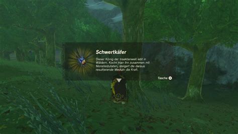 totk schwertkäfer|Zelda Tears of the Kingdom: Schwertkäfer finden und。